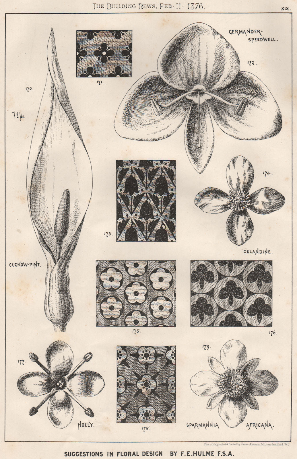 Suggestions in Floral; Design by F.E. Hulme F.S.A.. Decorative (17) 1876 print